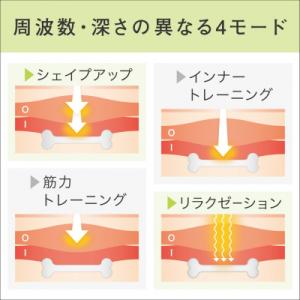 ふるさと納税 国東市 【お腹だけじゃない!貼る...の詳細画像3