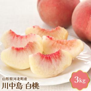 ふるさと納税 河北町 【令和5年産】 川中島白桃 3kg【JAさがえ西村山】