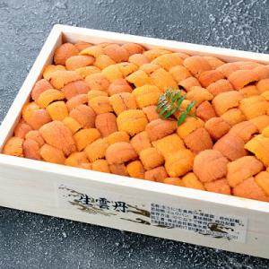 エゾバフンウニ約240g×1折 F-24002