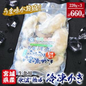 ふるさと納税 石巻市 牡蠣 宮城県産 氷温熟成 かき 生食用(冷凍)220g×3袋
