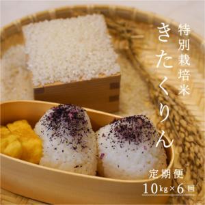 ふるさと納税 当麻町 特別栽培米きたくりん10kg×6回【AB-027】