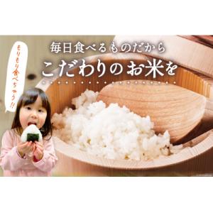 ふるさと納税 気仙沼市 米 宮城県産 ひとめぼ...の詳細画像1