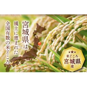 ふるさと納税 気仙沼市 米 宮城県産 ひとめぼ...の詳細画像2