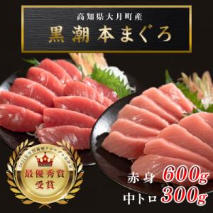 【高知県産 養殖本マグロ】900g(中トロ300g 赤身600g)小分け柵 急速冷凍
