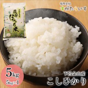 ふるさと納税 下呂市 先行受付【令和6年産米】こしひかり 5kg すがたらいす 下呂市金山産 コシヒ...