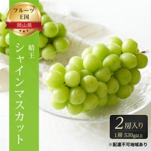 ご家庭用 シャインマスカット晴王 優品 2房(露地栽培)岡山県産[No.5735-1604]