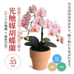 ふるさと納税 碧南市 綺麗で丈夫な三河陶器で贈る...の商品画像
