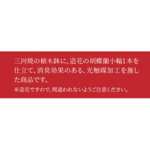 ふるさと納税 碧南市 綺麗で丈夫な三河陶器で贈...の詳細画像1