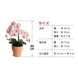 ふるさと納税 碧南市 綺麗で丈夫な三河陶器で贈...の詳細画像2