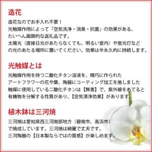 ふるさと納税 碧南市 綺麗で丈夫な三河陶器で贈...の詳細画像3