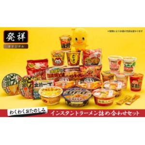 ふるさと納税 池田市 日清食品「インスタントラーメン発祥の地・大阪池田」わくわくおたのしみセット