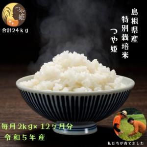 ふるさと納税 松江市 【定期便/全12回】【精米】感動米 特別栽培米つや姫　2kg×12回