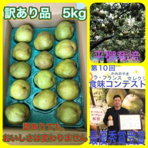 ラ・フランス　5kg　ご家庭用　0102-2606