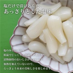 ふるさと納税 南さつま市 【鹿児島県産】白宝ら...の詳細画像2