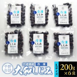 ふるさと納税 松江市 宍道湖産冷凍大和しじみ (L)200g×6袋｜y-sf