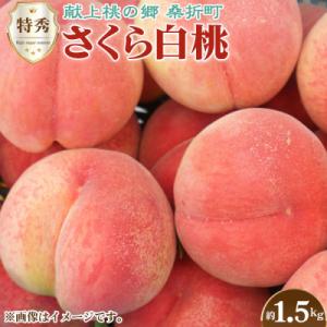 もも【さくら白桃・2026年産先行受付】特秀1.5kg　桑折町産　JAふくしま未来　桃