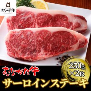 ふるさと納税 宗像市 むなかた牛サーロインステーキ 500g(250g×2枚)【すすき牧場】_HA1...