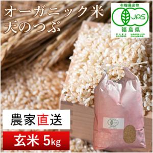 ふるさと納税 南相馬市 【令和5年産米】南相馬・根本有機農園のJAS有機米天のつぶ5kg(玄米)【3...