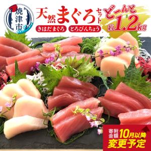 ふるさと納税 焼津市 天然 まぐろ セット(とろびんちょう・きはだまぐろ) 約1.2kg(a10-9...