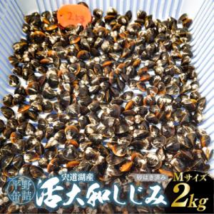 ふるさと納税 松江市 宍道湖産活大和しじみ(M)2kg(砂はき済み)