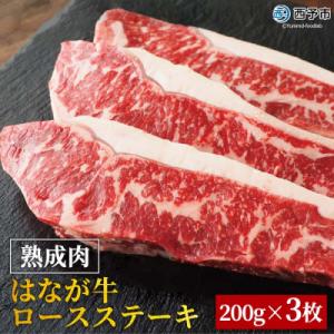 ふるさと納税 西予市 熟成肉 はなが牛ロースステーキ