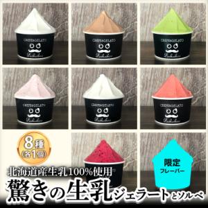 北海道産 生乳 ジェラート アイス 8種 8個 ジェラートセット