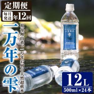 ふるさと納税 佐伯市 &lt;定期便・全12回 &gt;ミネラルウォーター 一万年の雫 (500ml×24本×1...