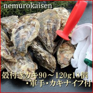 ふるさと納税 根室市 【北海道根室産】殻付カキ90〜120g×18個 B-57026