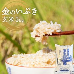 米 令和7年産 ヨシ腐葉土米　金のいぶき(玄米) 5kg 少量 小分け 家庭用 ご飯 お米 石巻市