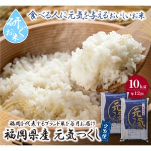 寄附額改定↓↓ 研ぐお米 福岡県産・元気つくし10kg定期便(毎月・年12回)