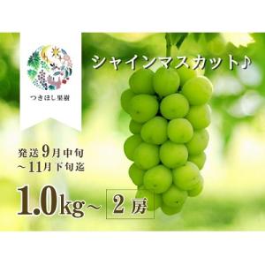 ふるさと納税 上山市 上山産・完熟シャインマスカット　1kg以上　ご家庭用　0140-2301