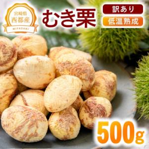 ふるさと納税 西都市 【訳あり】宮崎県西都市産　低温熟成生栗(むき栗)500g【先行受付】 [230...