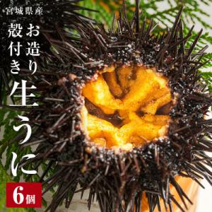 生うに 宮城県産 殻付き お造り 生ウニ 6個 冷蔵 ミョウバン不使用 無添加