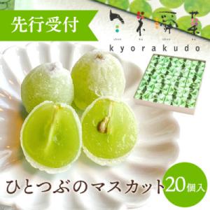 数々のメディアで紹介され大人気のひとつぶのマスカット(20個入)[018-003]