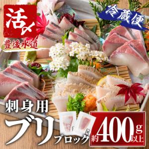 ブリ 刺身用 ブロック 冷蔵(約400-500g・4-5人前)