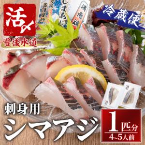 ふるさと納税 佐伯市 シマアジ 刺身用 ブロック 冷蔵(1匹分・4-5人前)