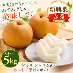 新興梨(赤秀) 5kg