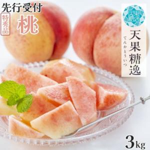 先行受付 桃 特秀品 約3kg 糖度13度以上を厳選 令和8年度 【014S057】