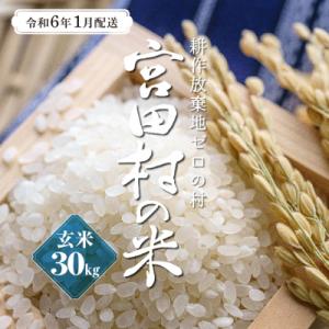 ふるさと納税 宮田村 【先行受付】【令和5年米】減農薬栽培(栽培期間中)コシヒカリ/玄米/30kg/令和6年1月配送