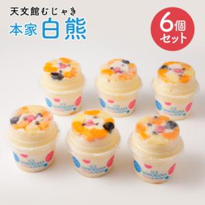 天文館むじゃき　本家白熊6個セット　K009-001