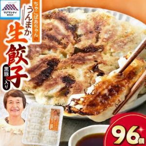 ちゃこばあちゃんの黒豚入りうんまか生餃子 96個入り　K027-002