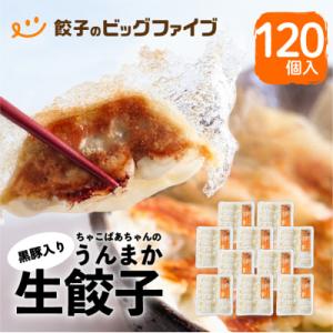 ふるさと納税 鹿児島市 ちゃこばあちゃんの黒豚入りうんまか生餃子　120個入り　K027-003