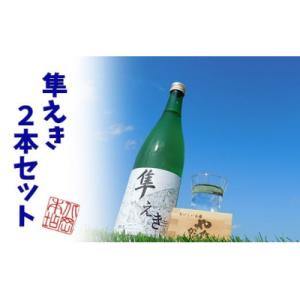 ふるさと納税 八頭町 鳥取県産純米吟醸酒「隼えき」2本セット