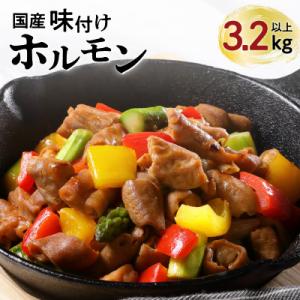 【ナンチクファクトリー】国産豚味付けホルモン3.2kg以上(F)　K073-007