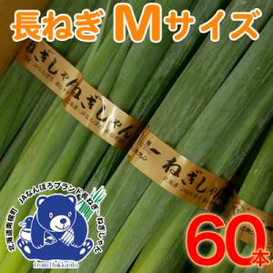 ふるさと納税 南幌町 北海道南幌町産 長ねぎ M 60本(JAなんぽろブランド:ねぎしゃん)8月中旬より発送