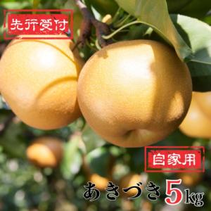 先行受付 和梨 あきづき 自家用 5kg[9月中旬～順次発送予定]新潟県産 訳アリ【010P062】