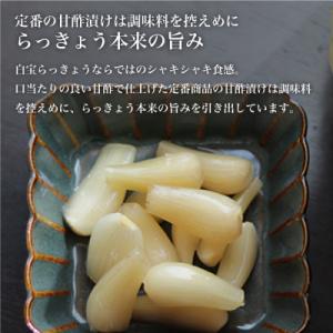 ふるさと納税 南さつま市 【鹿児島県産】白宝ら...の詳細画像1