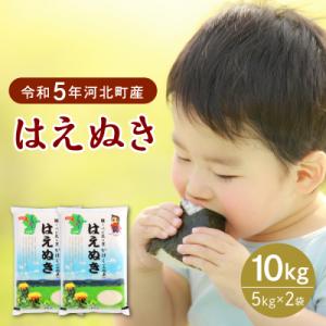 ふるさと納税 河北町 【令和5年産米】2024年8月中旬発送 はえぬき10kg 山形県産【JAさがえ...