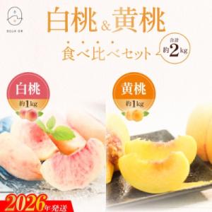 白桃&黄桃食べ比べセット　約2kg【2026年発送 先行受付】No.2673