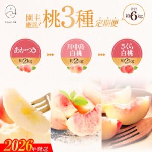 園主厳選!もも3種定期便　各約2kg【2026年発送 先行受付】No.2674